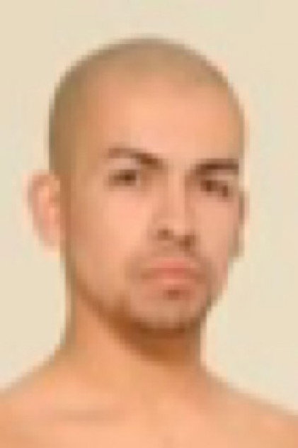 David Morino