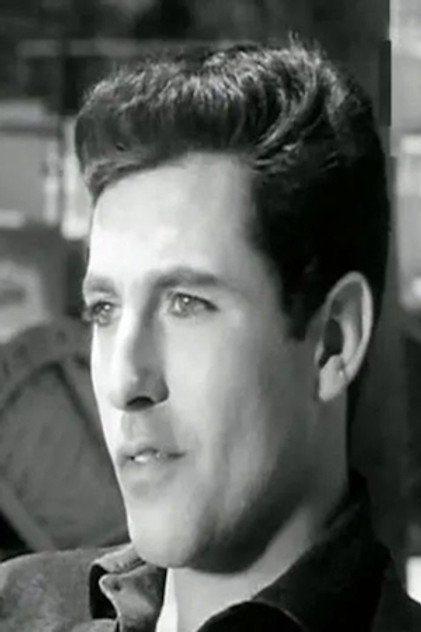 Amr El Torgoman
