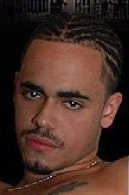 Latin Stallion