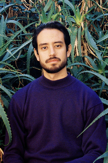 Mauro Palacio