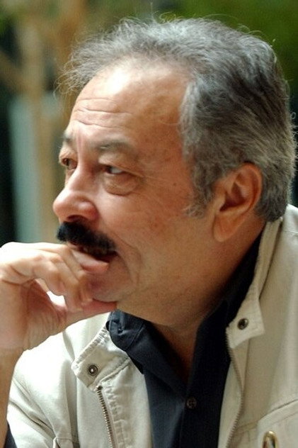 Elín Ortiz