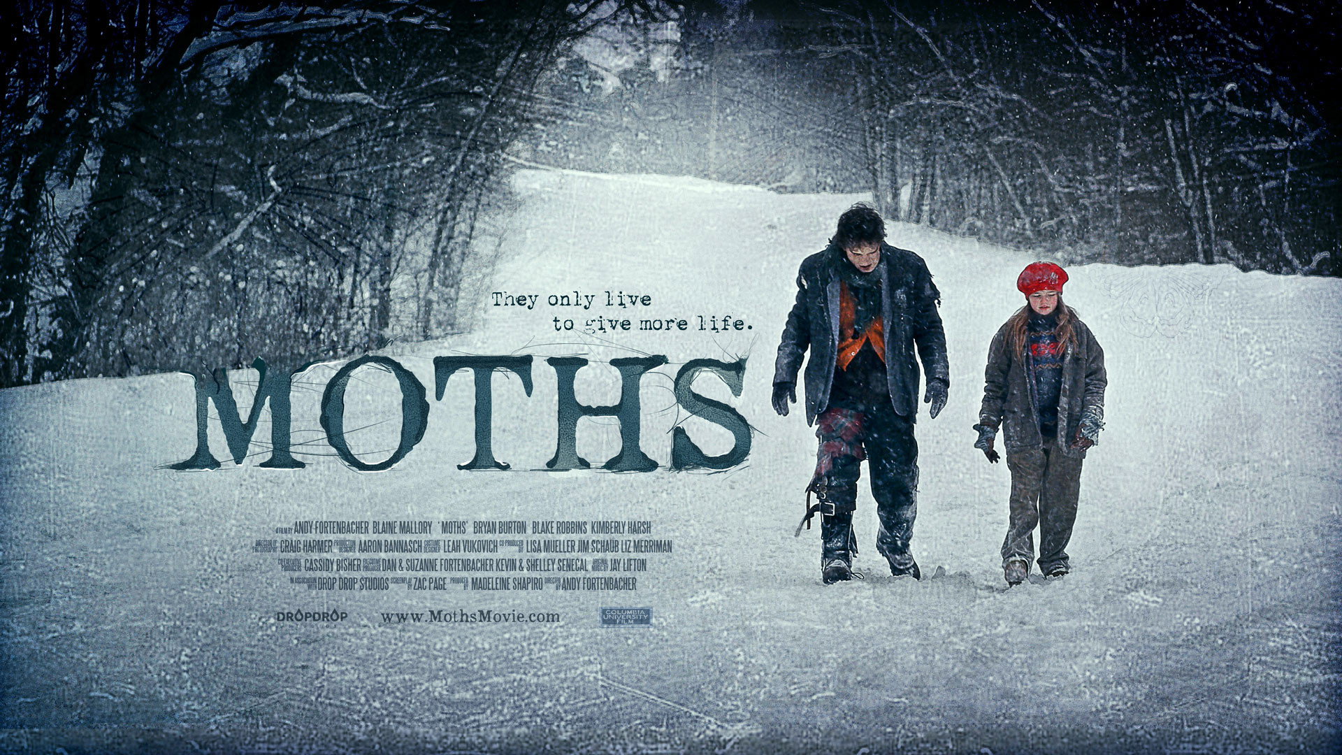 Moths