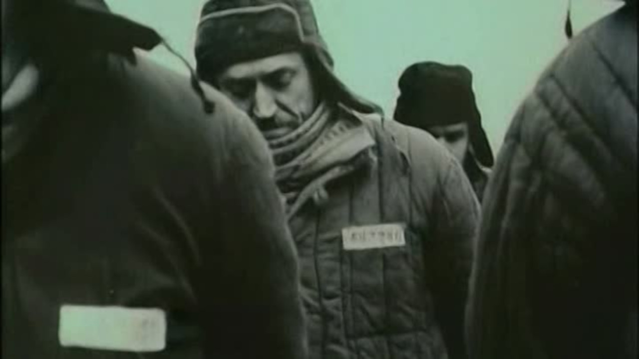 Faithful Ruslan: History of the Guard Dog