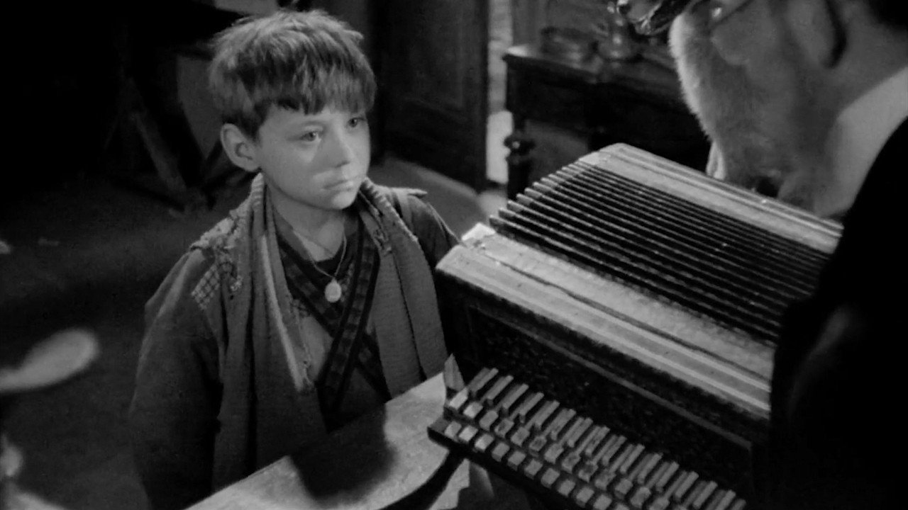 Accordion