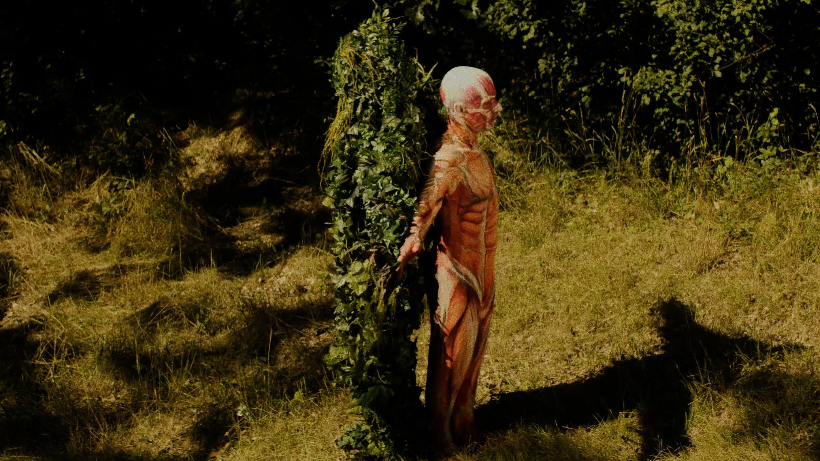 Leaf Man