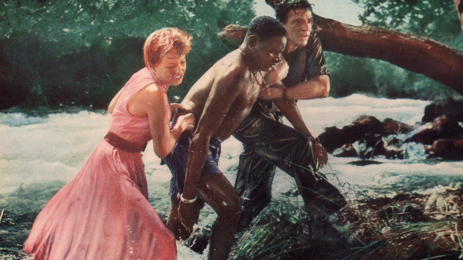 Duel in the Jungle