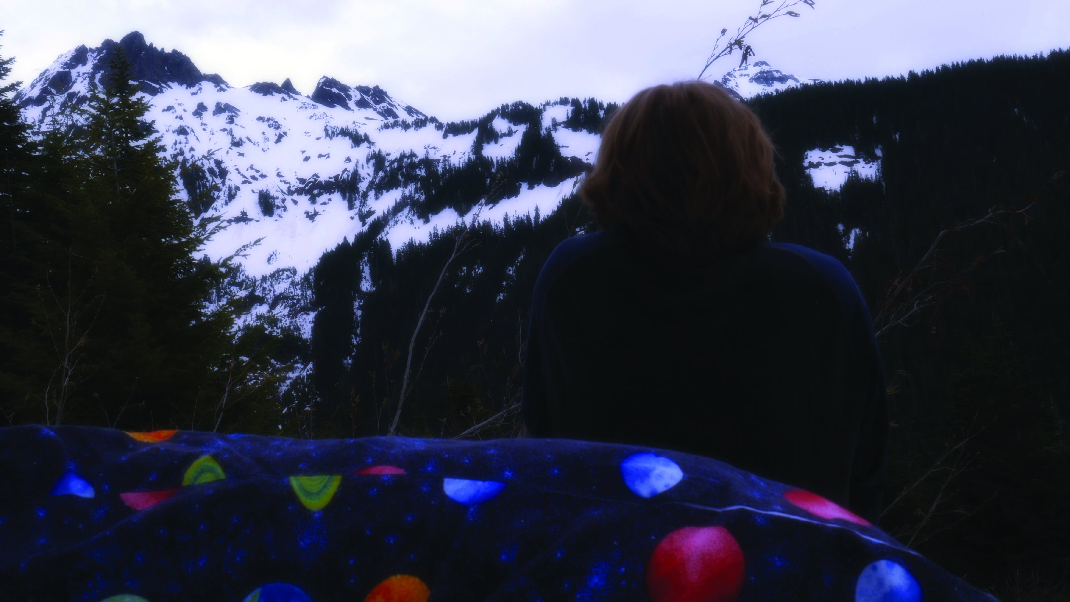 Lucid