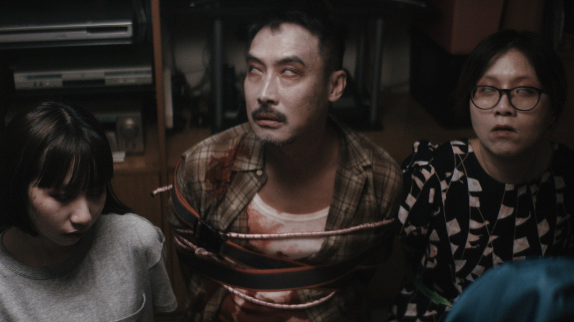 Zombies in the House