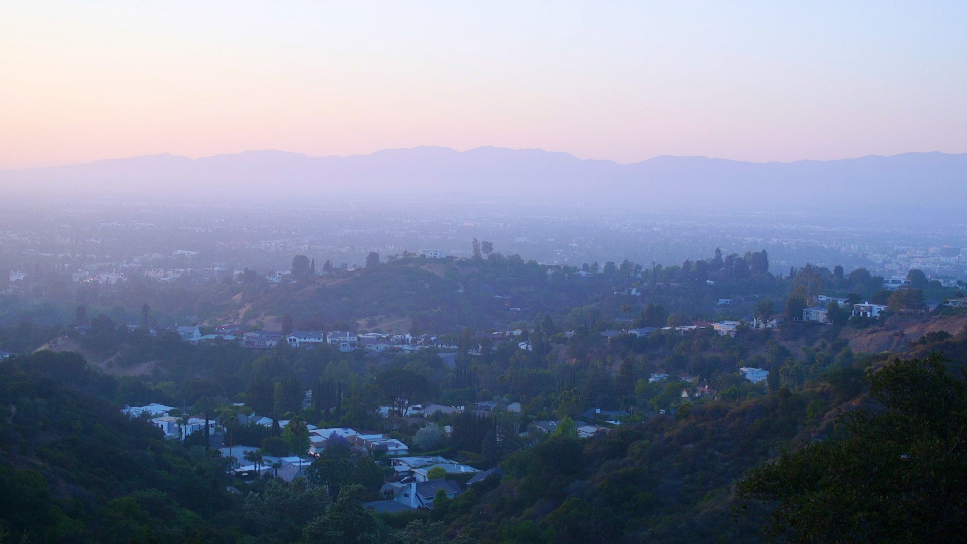California Schemin'