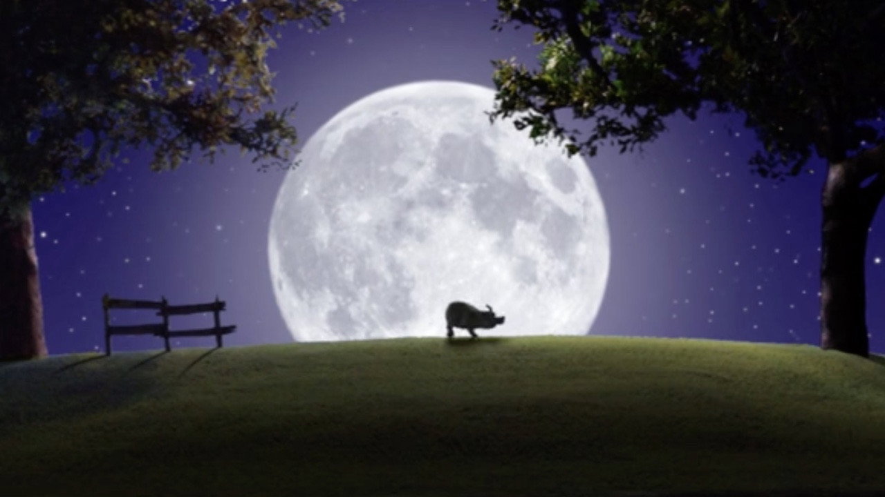 The Werepig