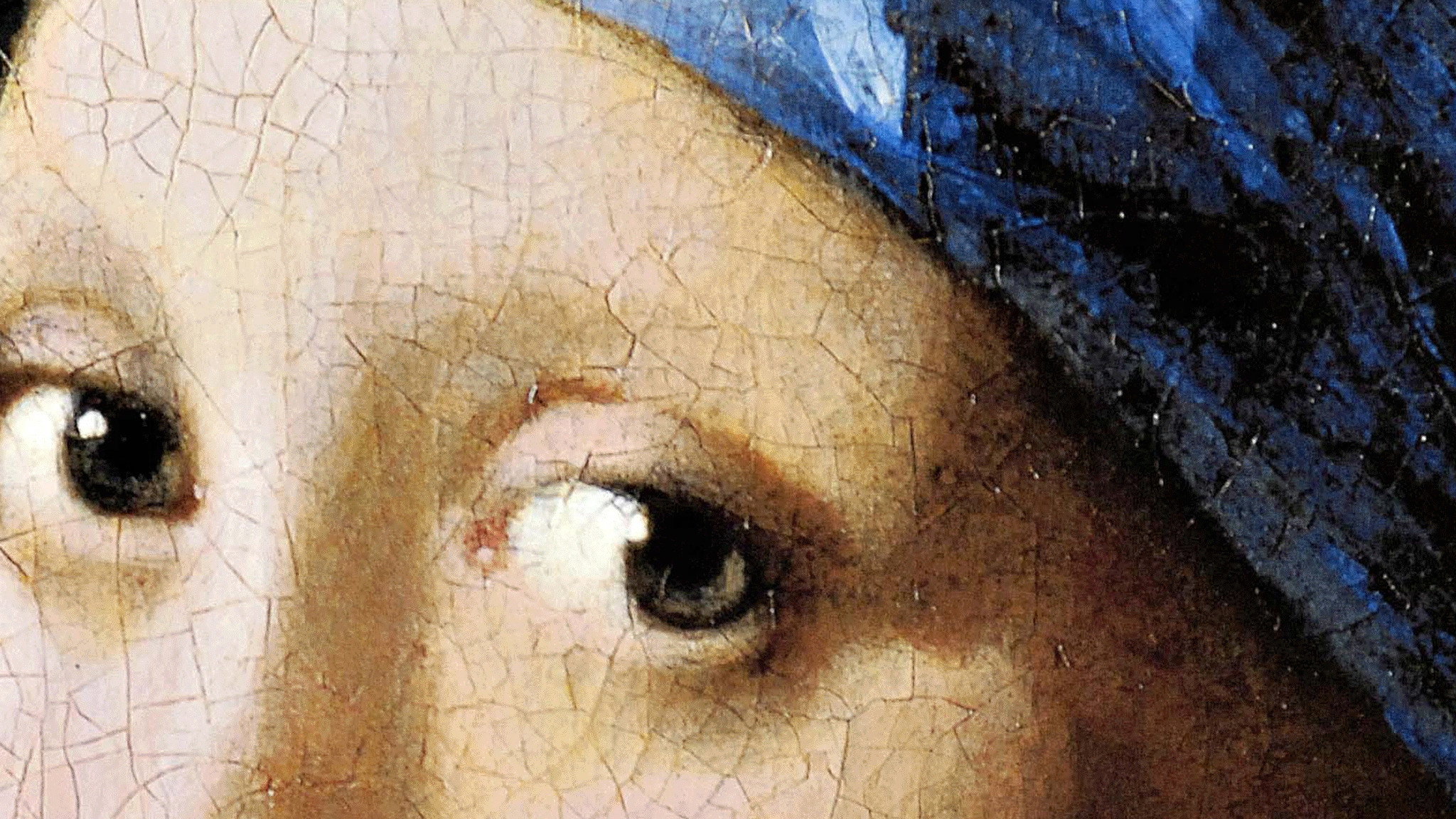 I silenzi di Vermeer