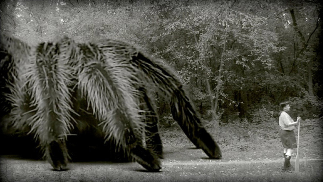 The Giant Spider