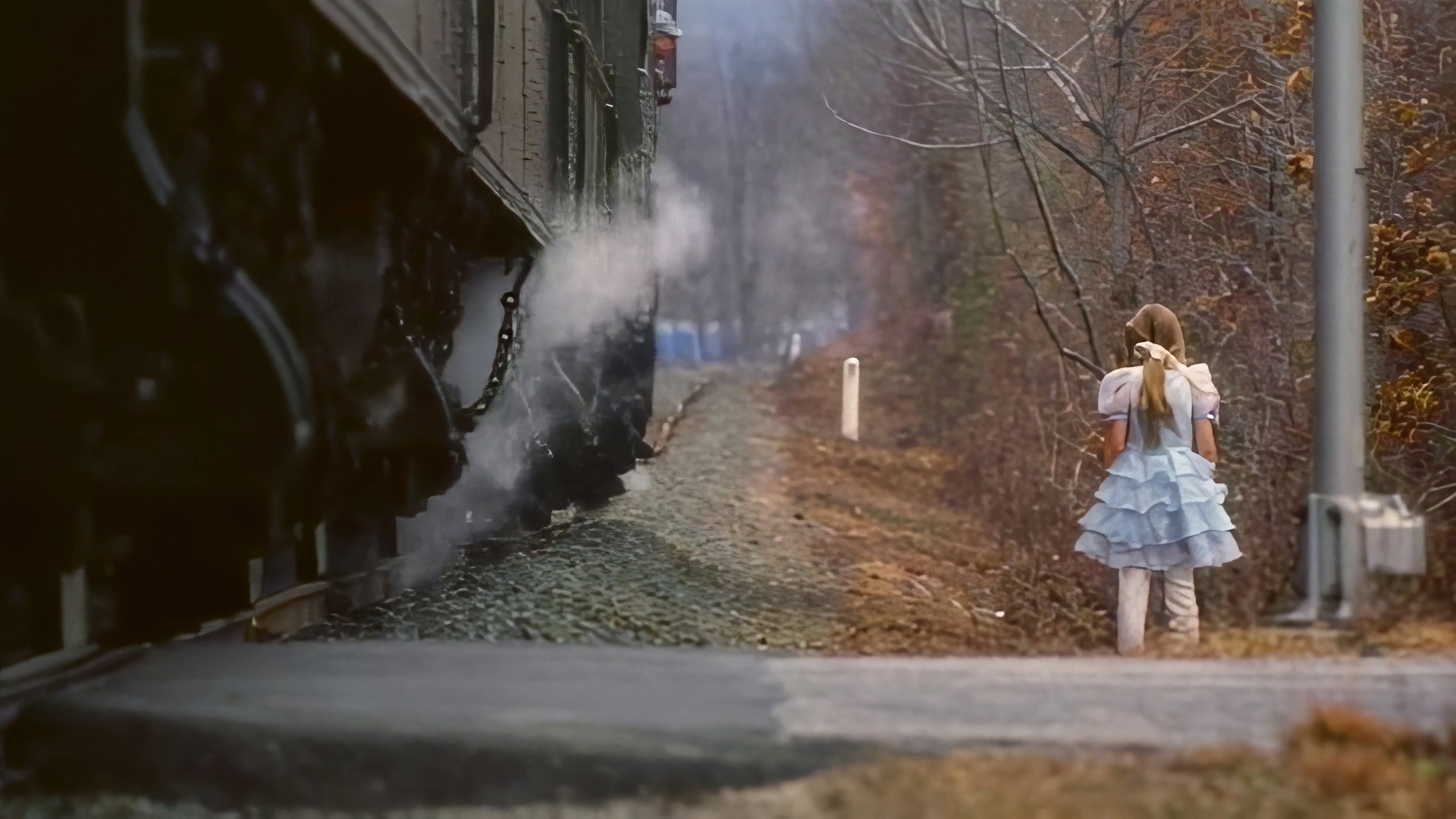 Steam