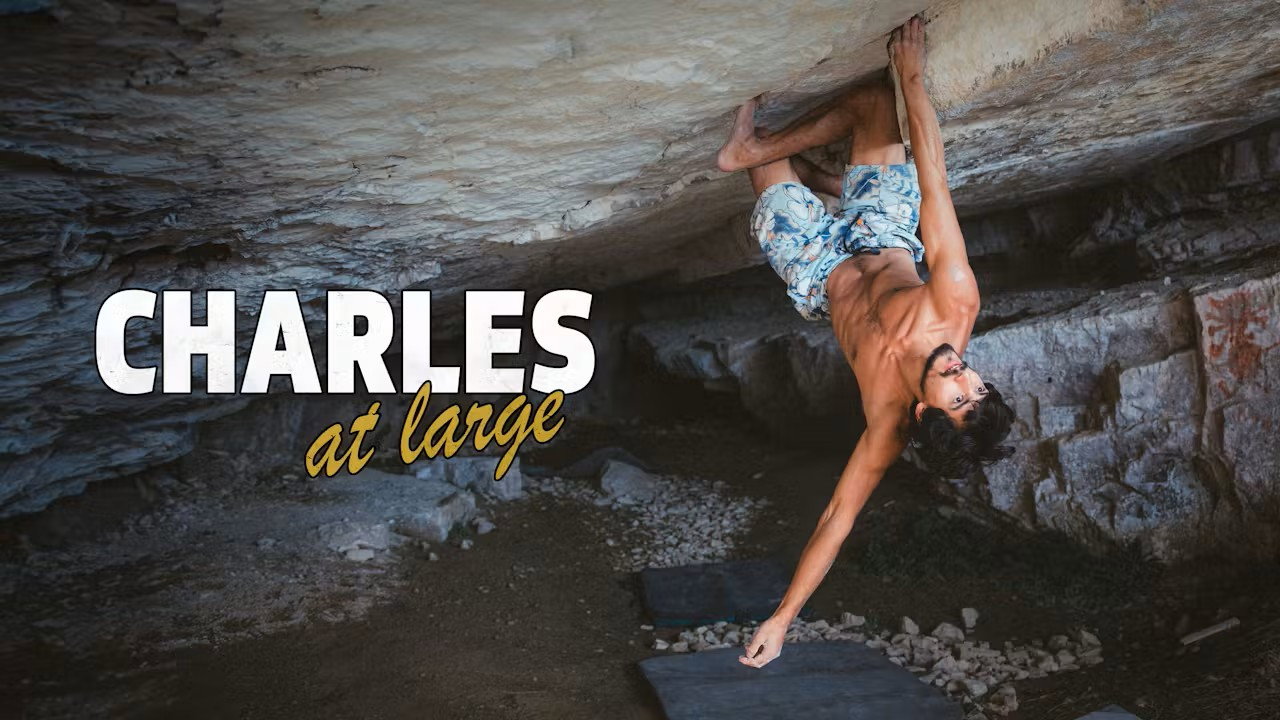 Charles at Large