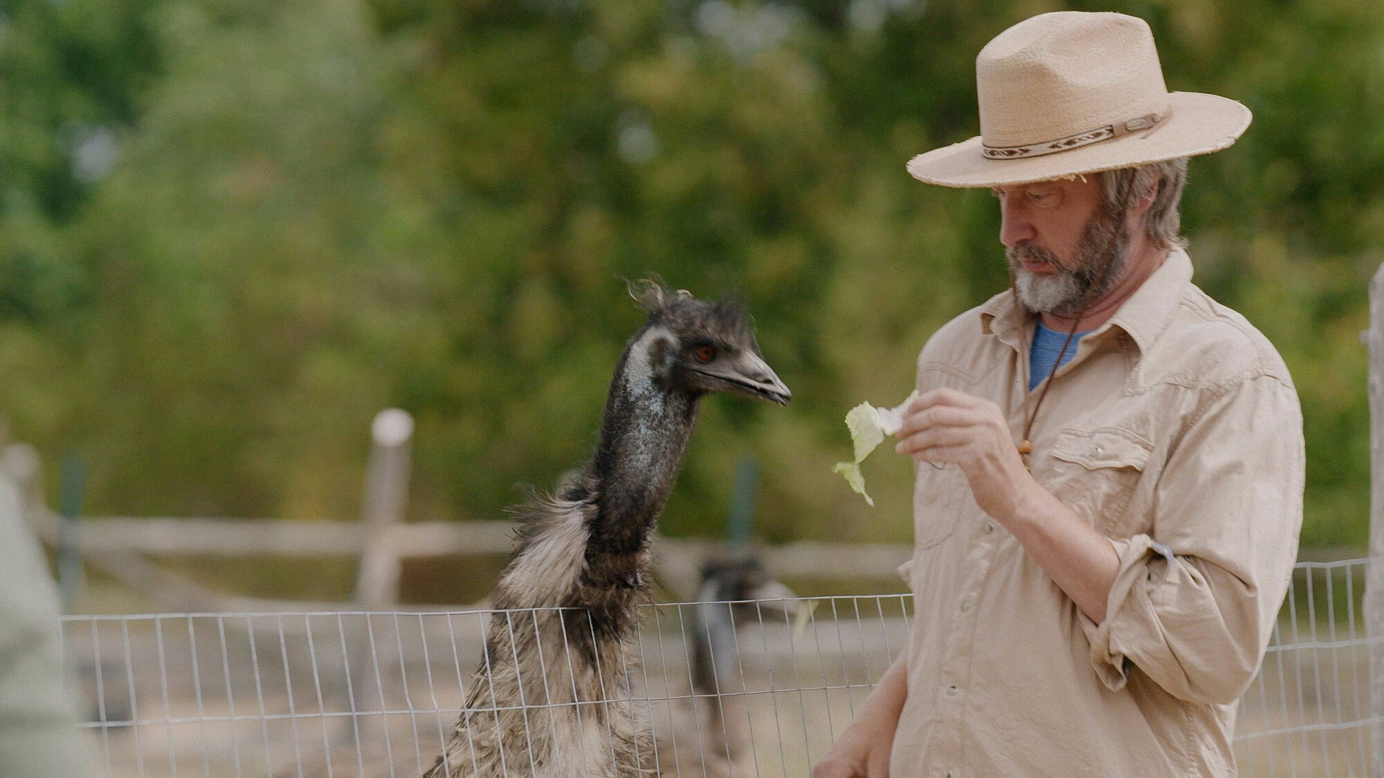 The Tom Green Farm
