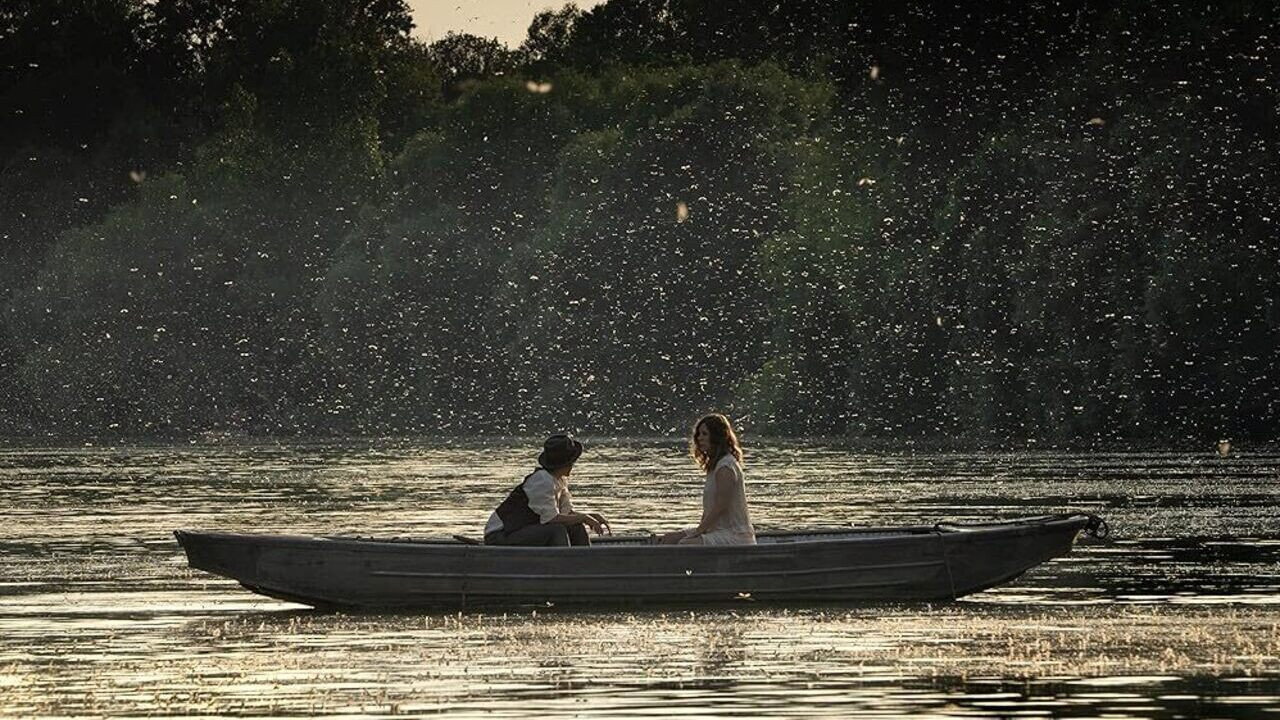 Mayflies