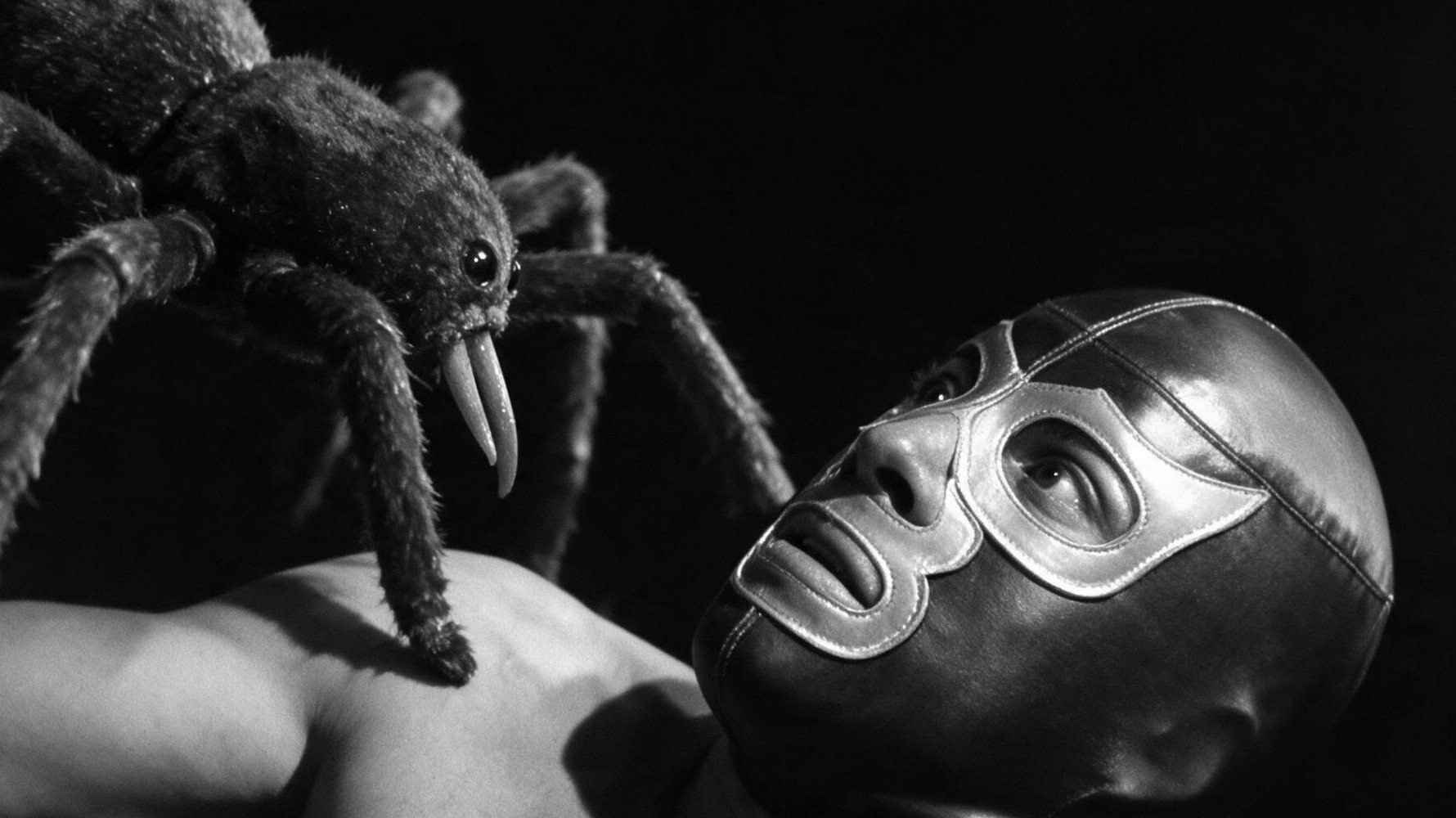 Hellish Spiders