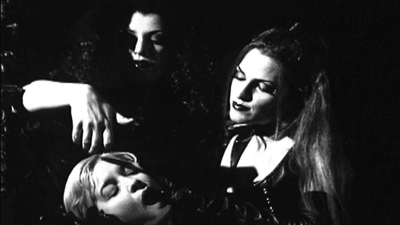 Ladies of the Night