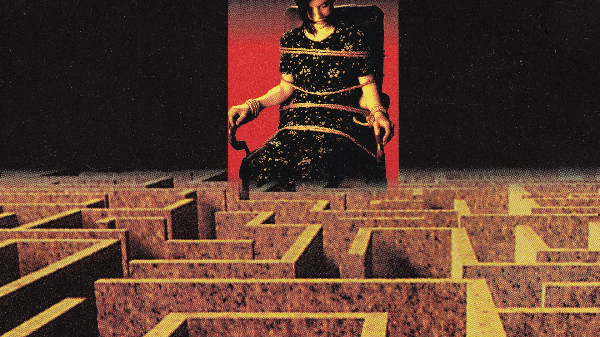 The Maze