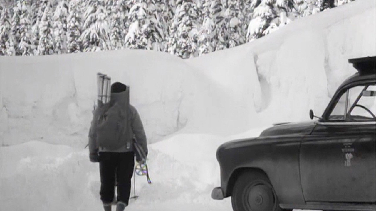 White Peril