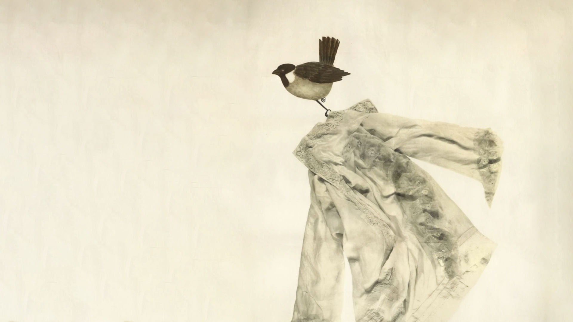 Migrating Sparrows