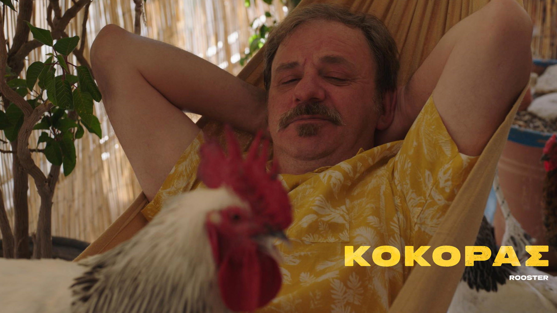 Rooster