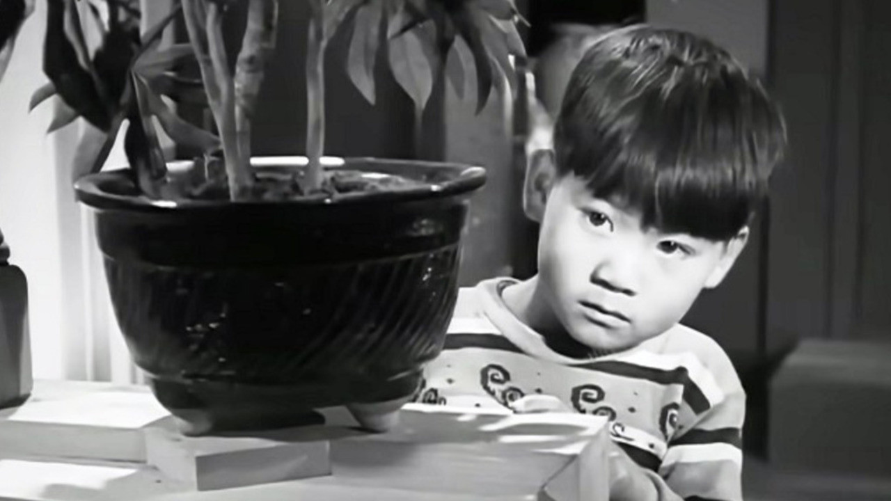 A Mother's Love (Mojeong)