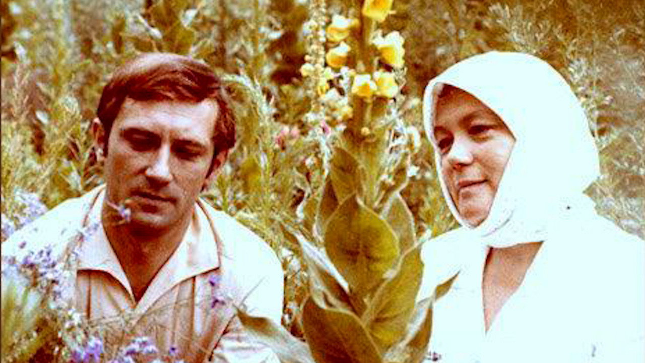 In Midsummer