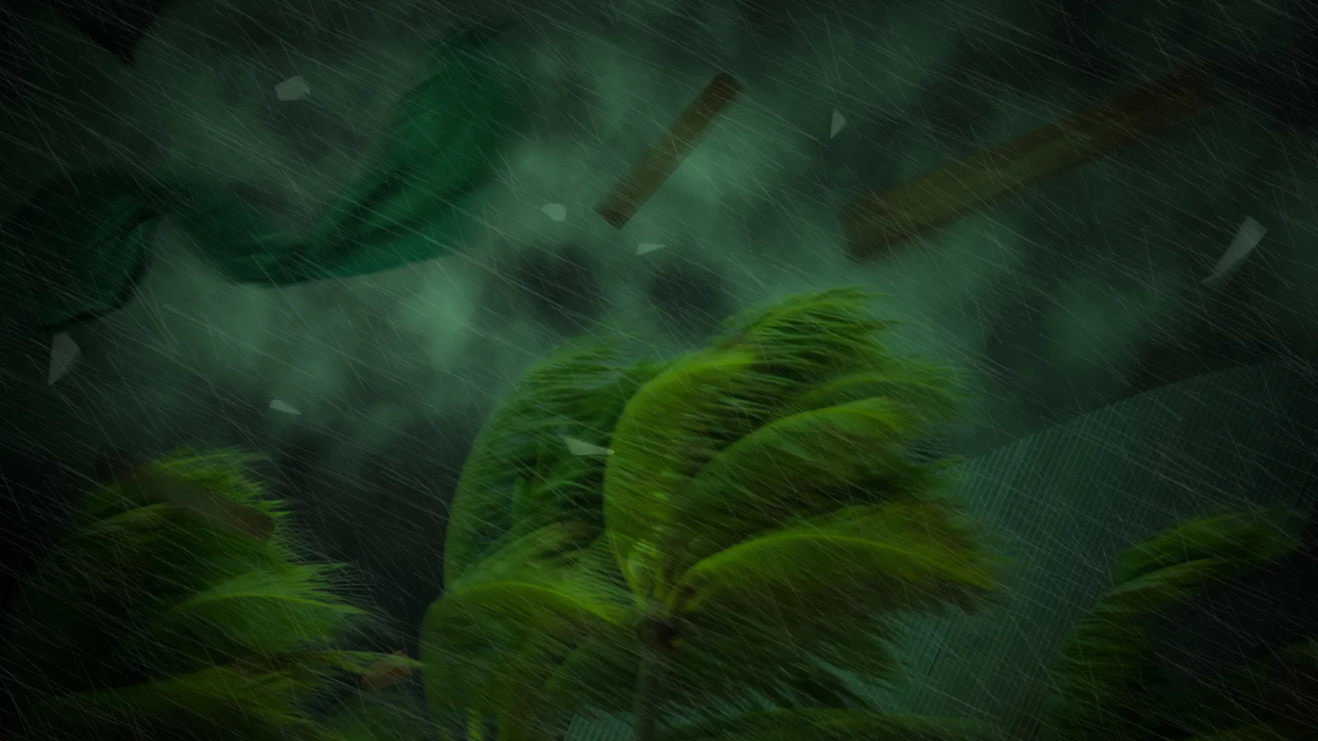 Tracy: A Force of Nature