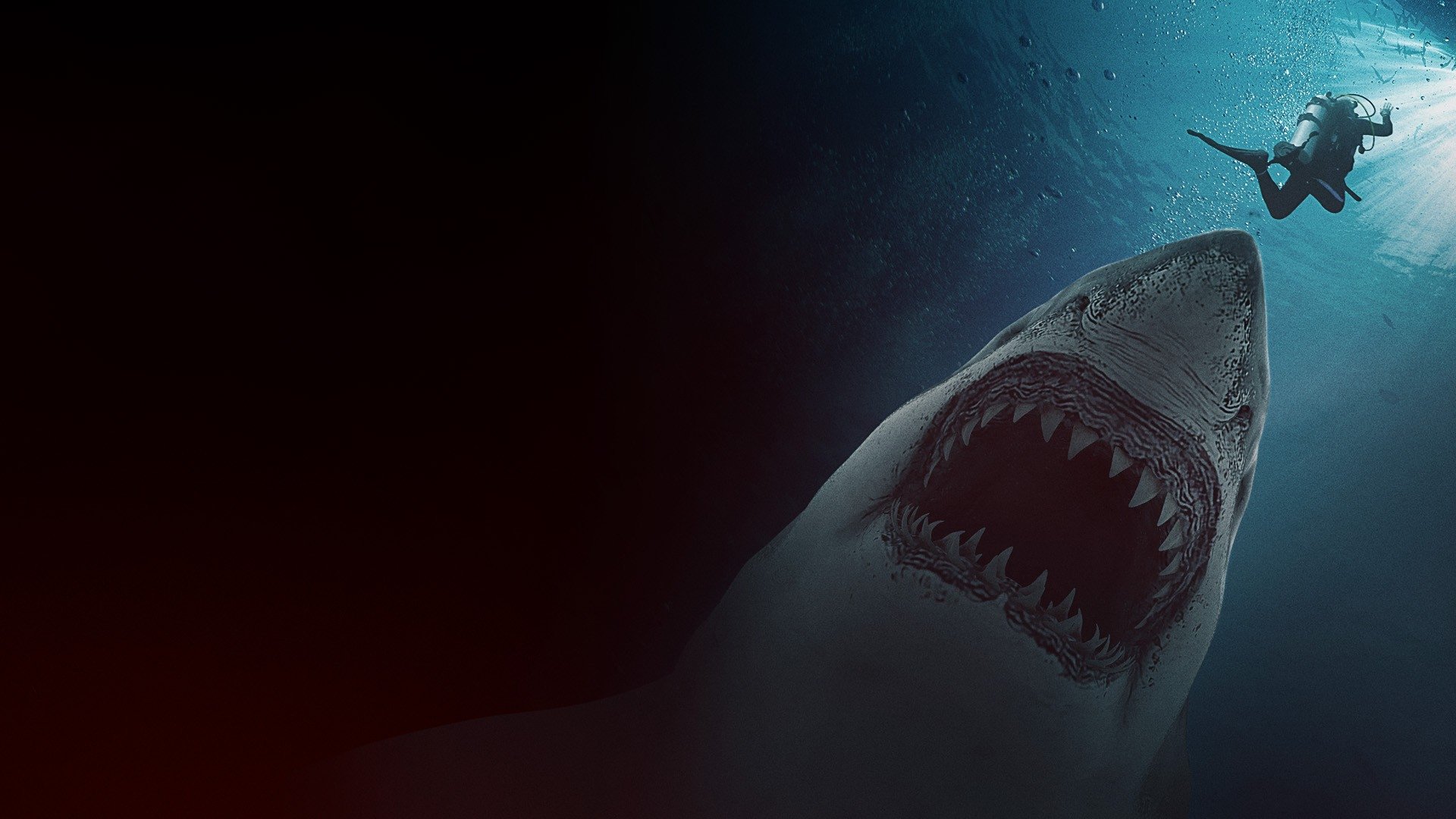 Great White Waters