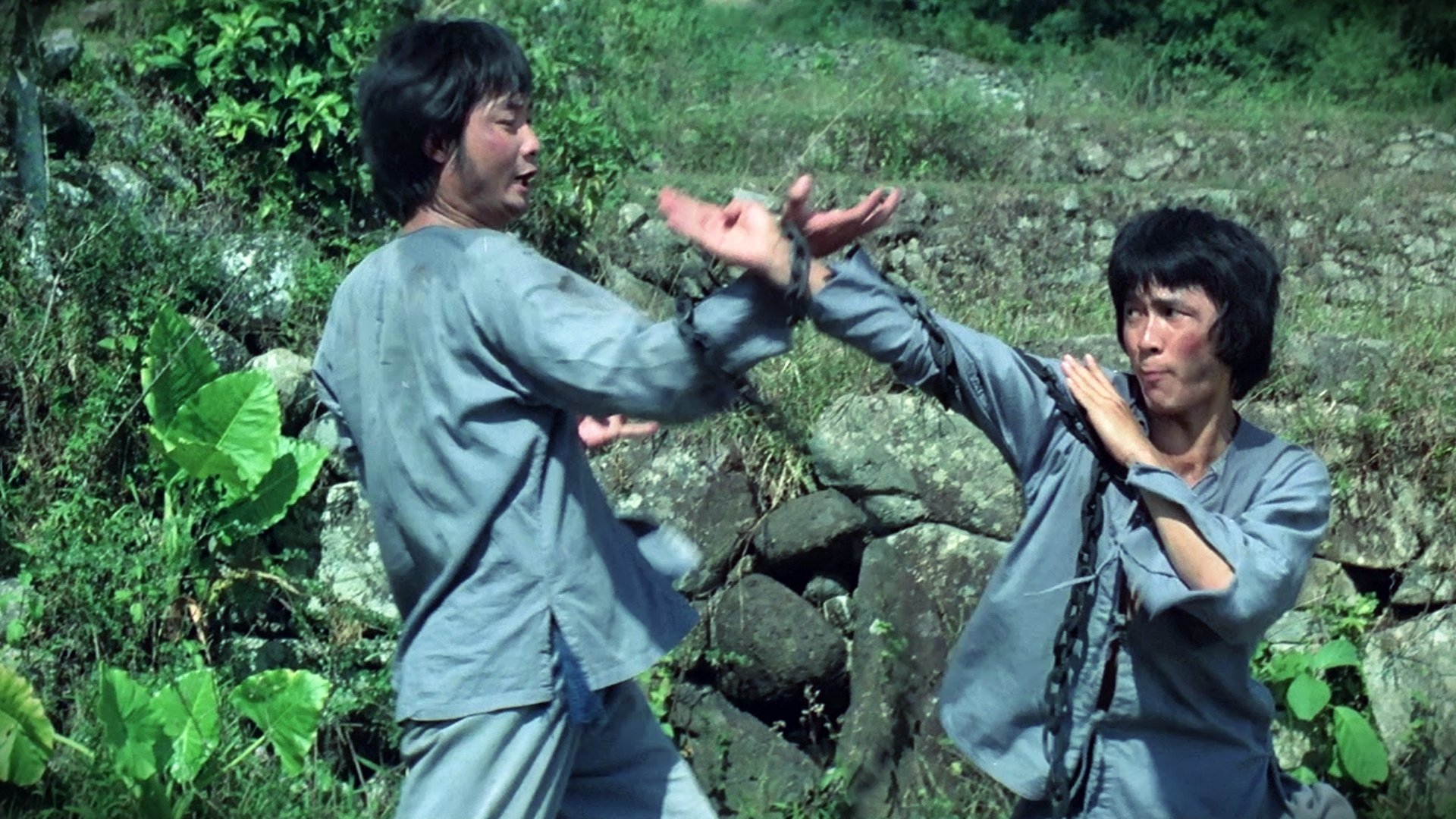 Monkey Kung Fu