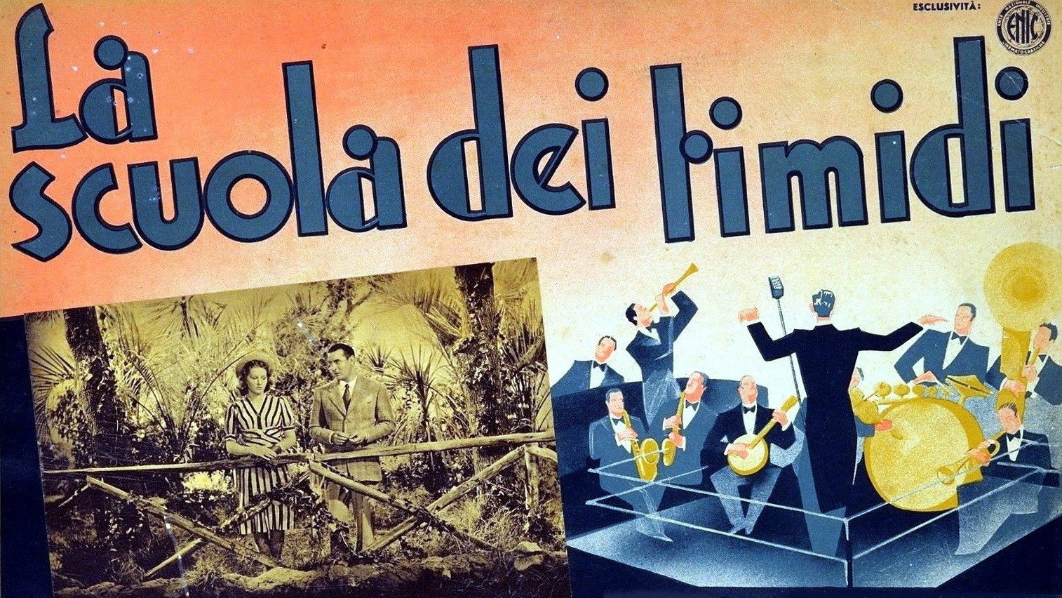 La scuola dei timidi