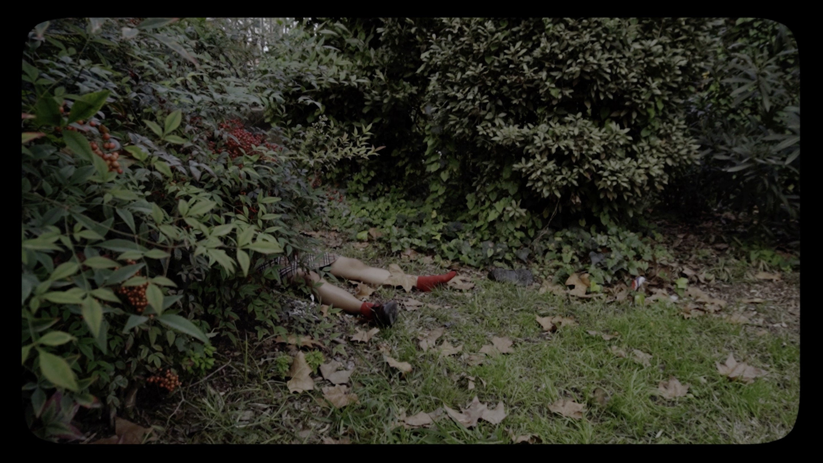 Bodies of Mary