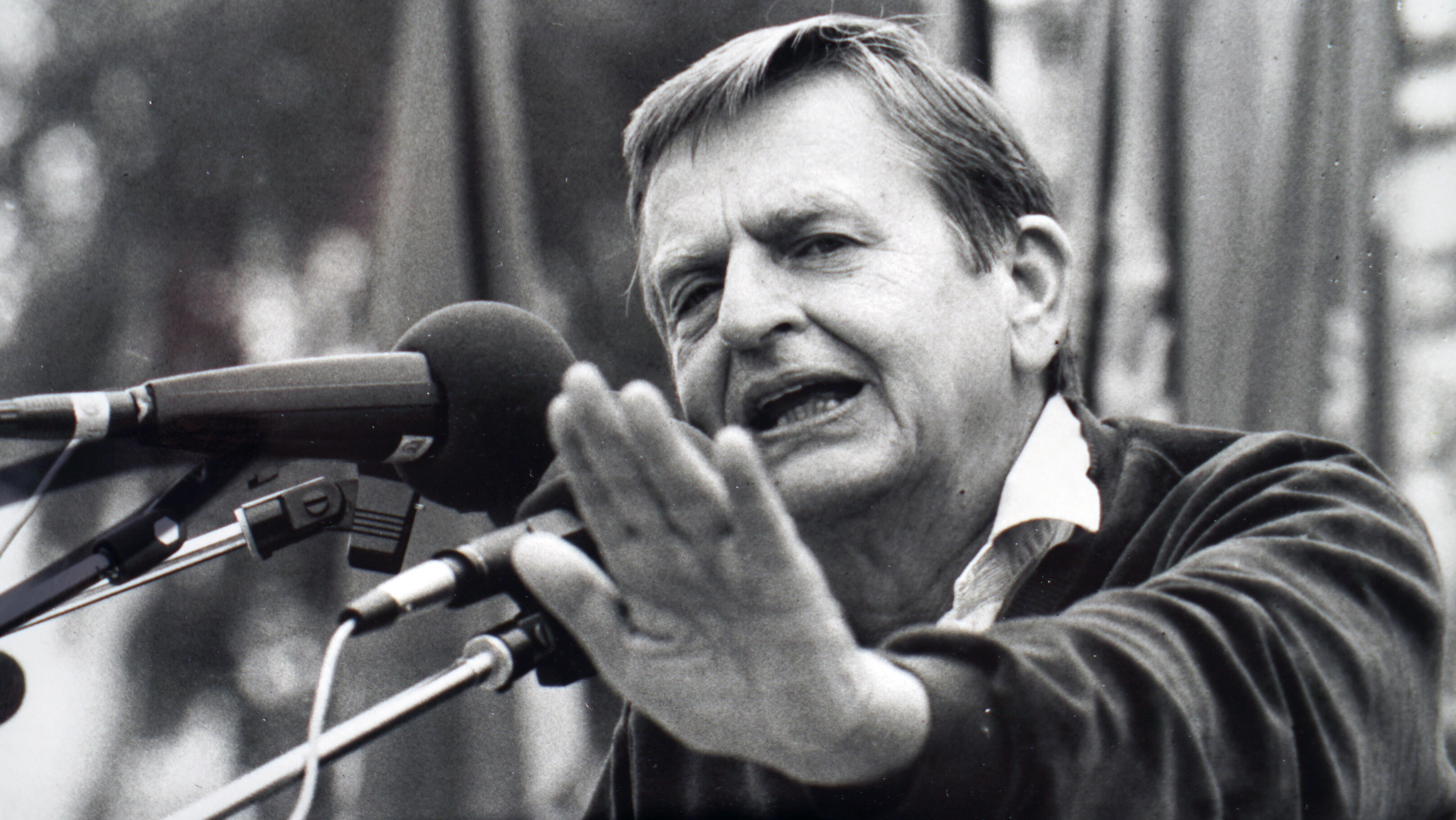 Palme: sista timmarna