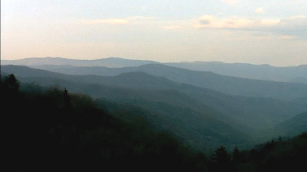 Bigfoot Witness