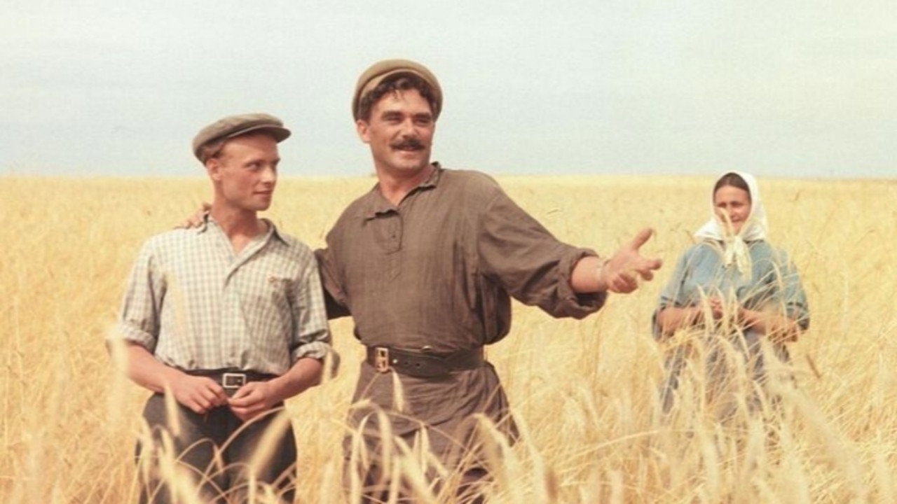 The Return of Vasili Bortnikov