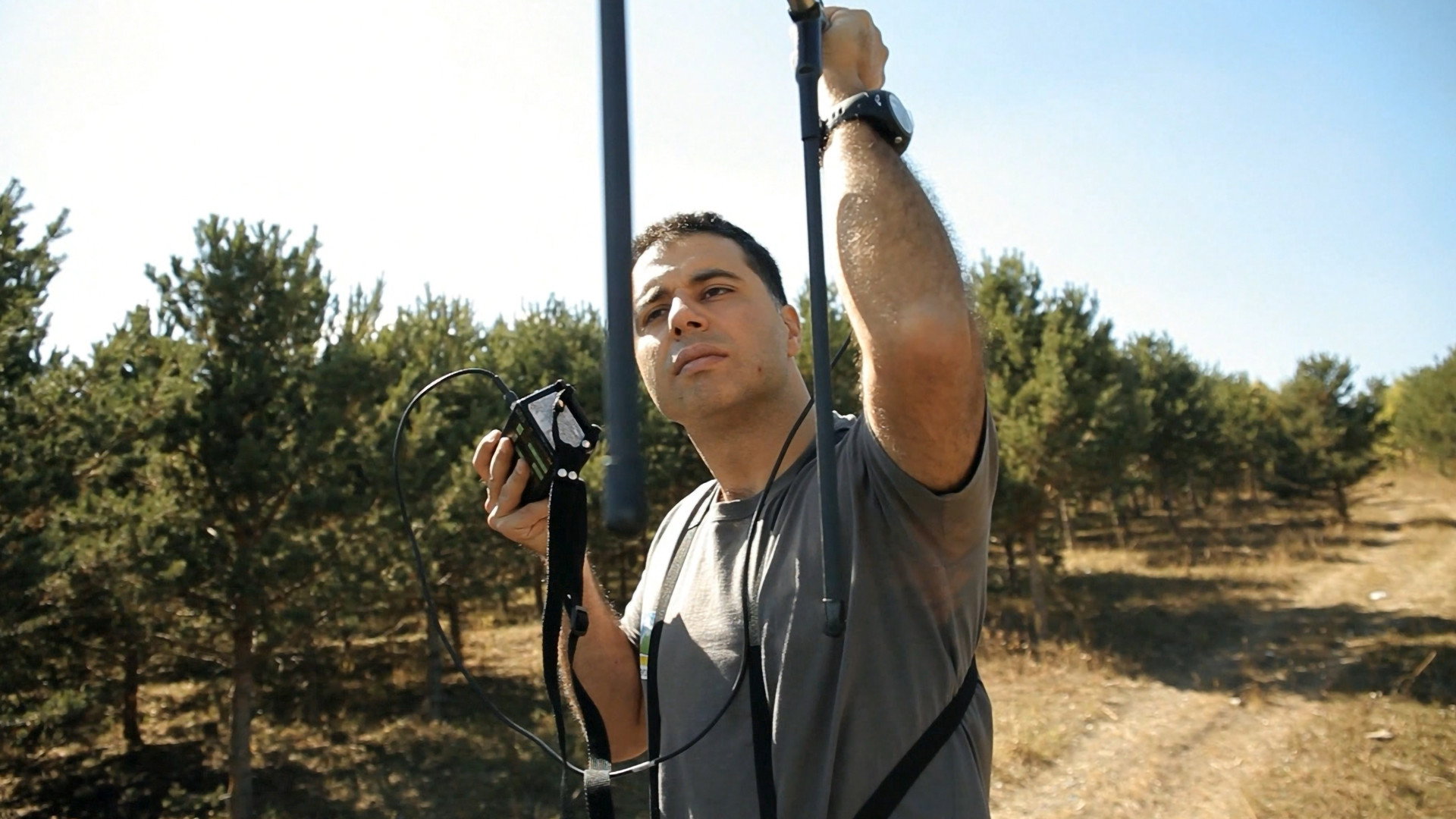 Tracking the Brown Bear