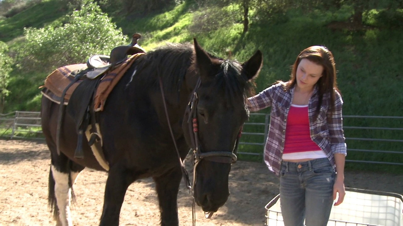 A Talking Pony!?!