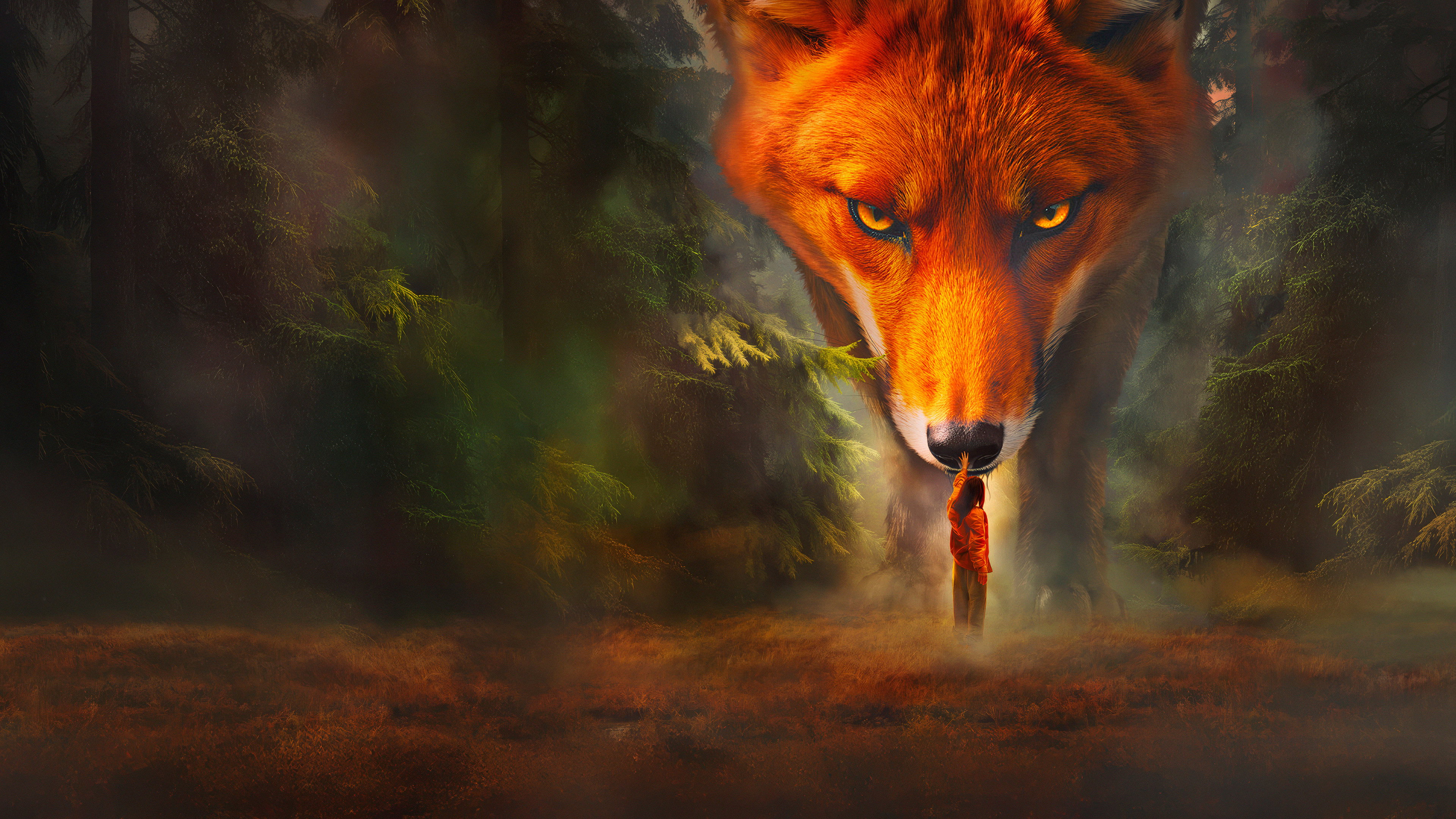 How to Tame a Fox