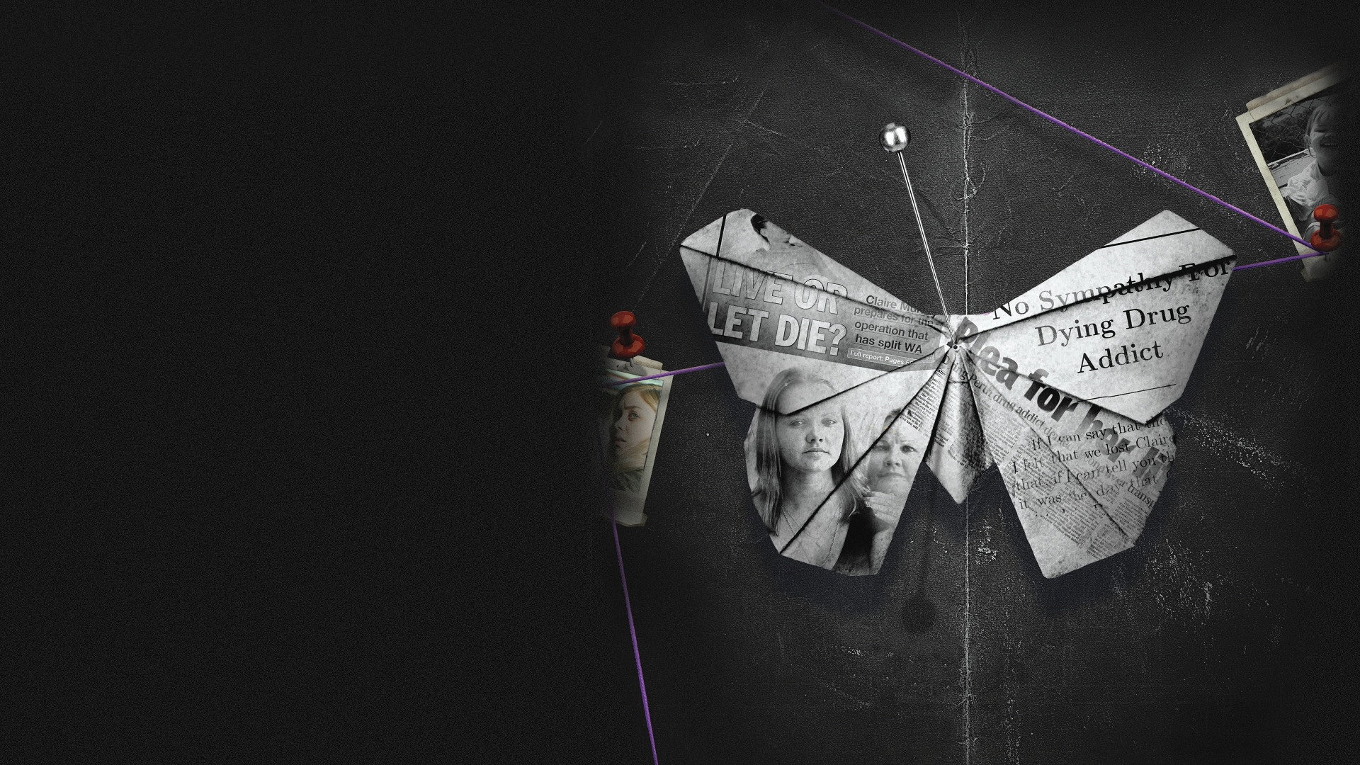 Wild Butterfly