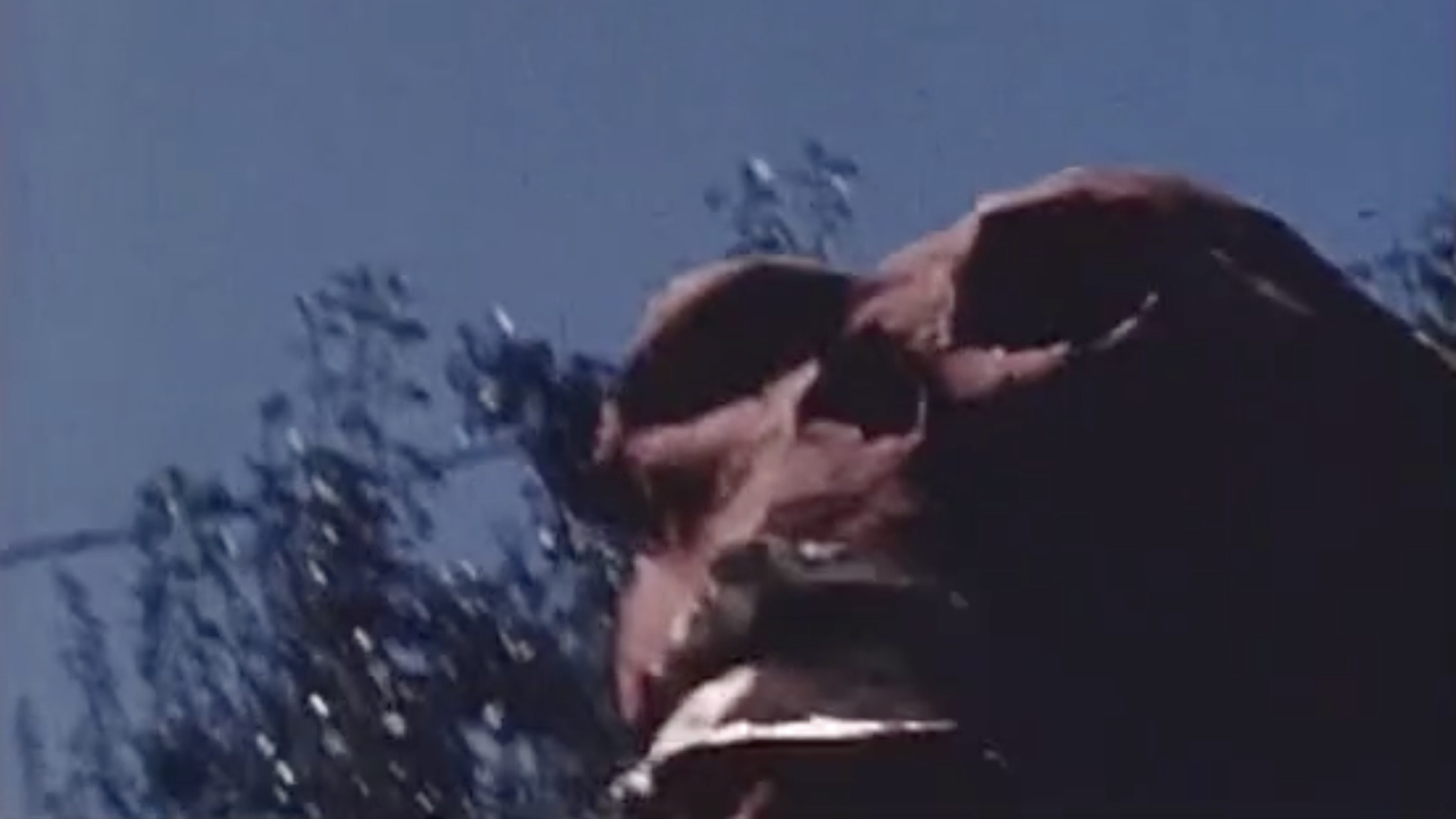 Captain America Battles the Red Skull