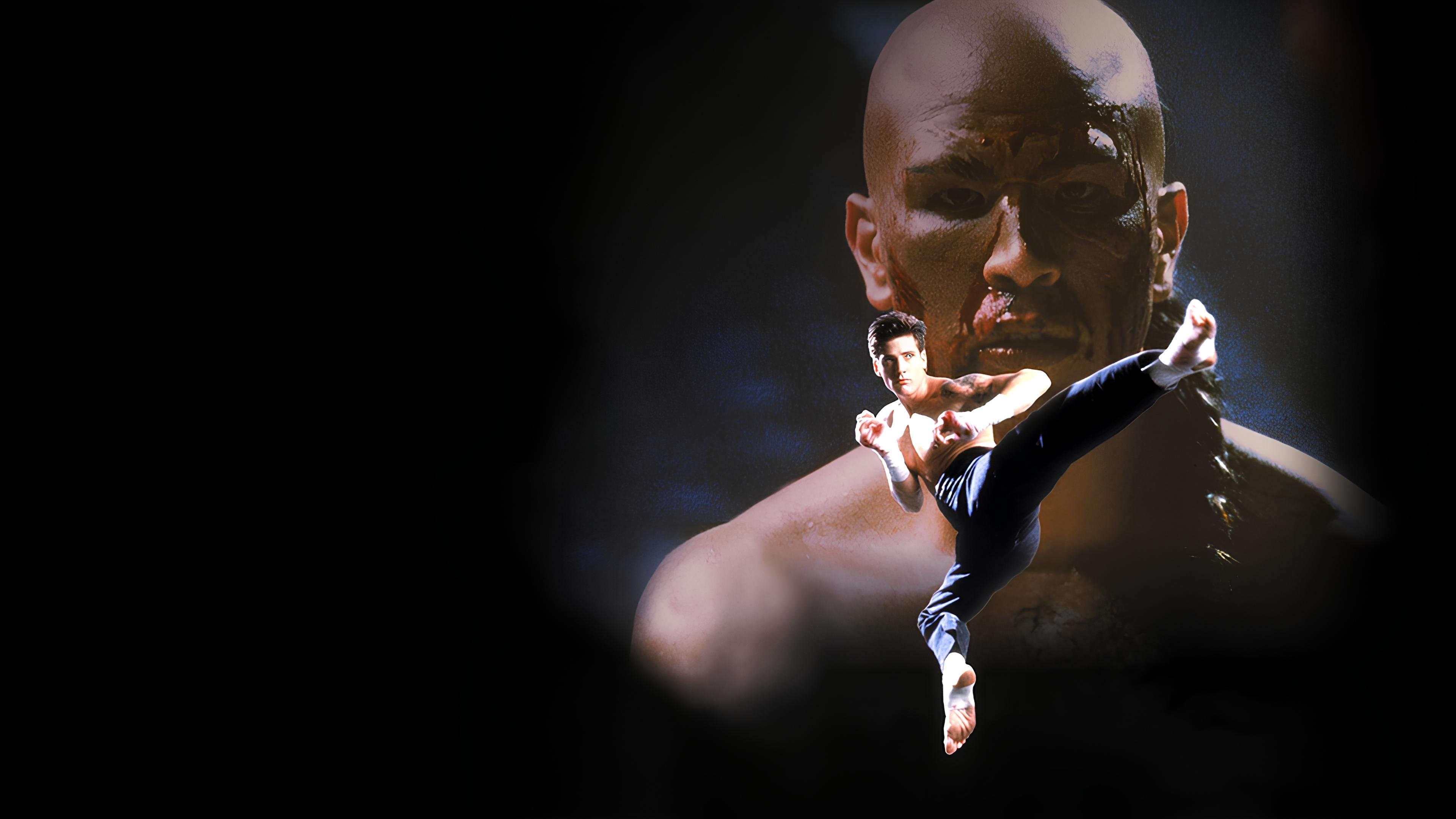Kickboxer 4: The Aggressor