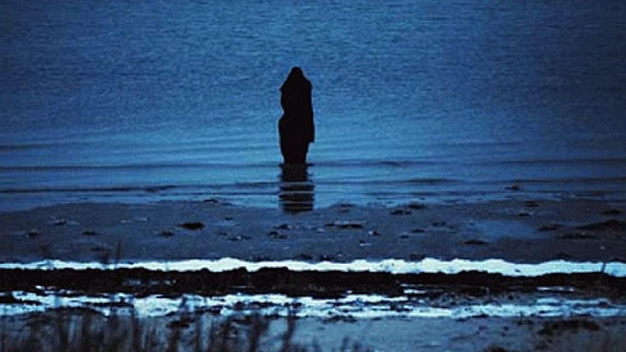 Steven Wilson: Catalogue / Preserve / Amass