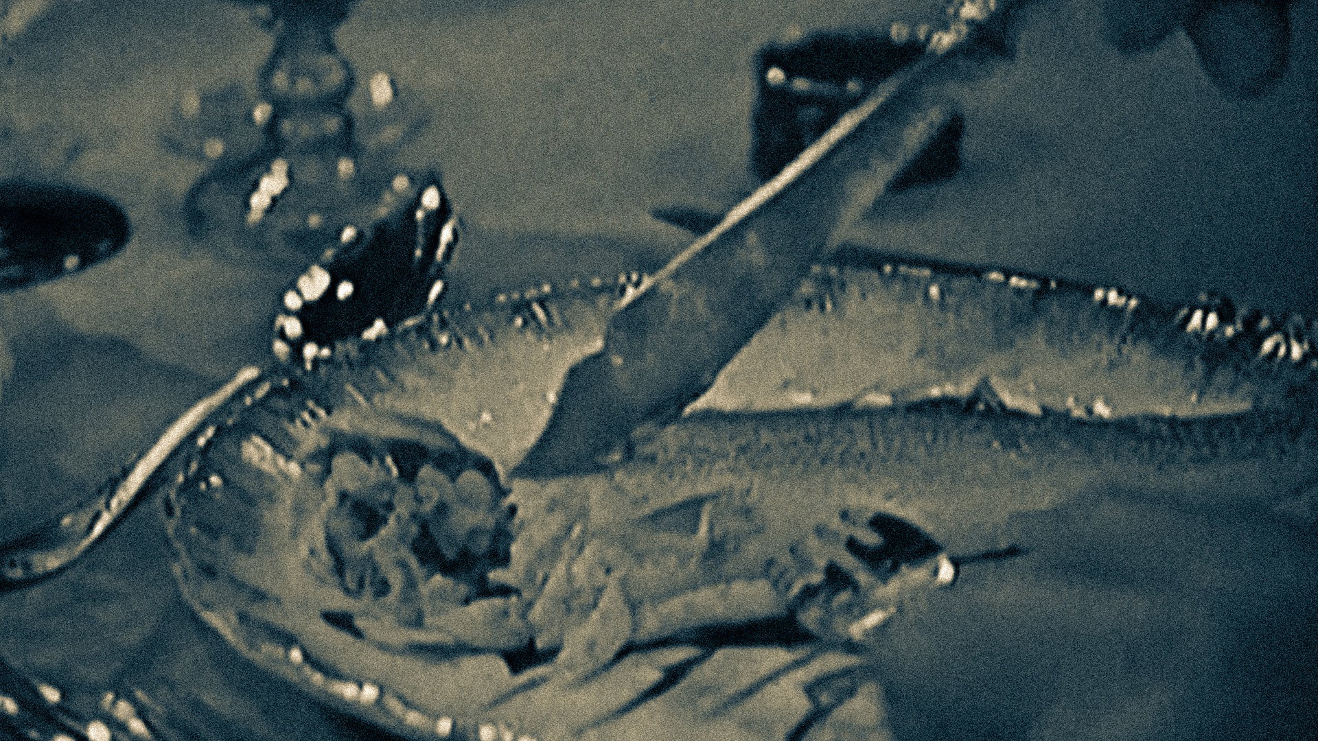 Die Panne