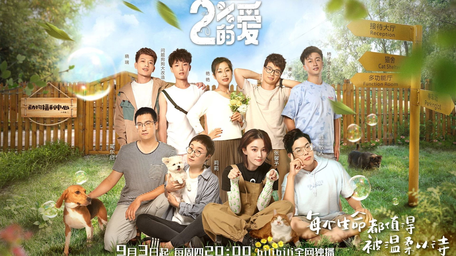 百分之二的爱