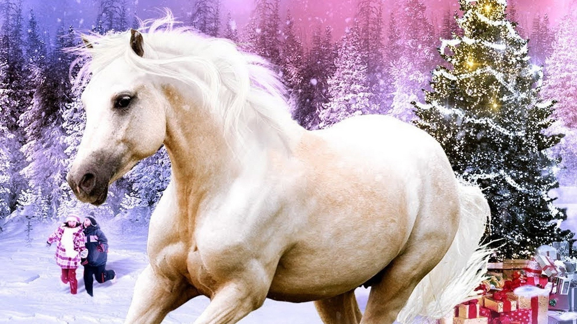 My Christmas Pony