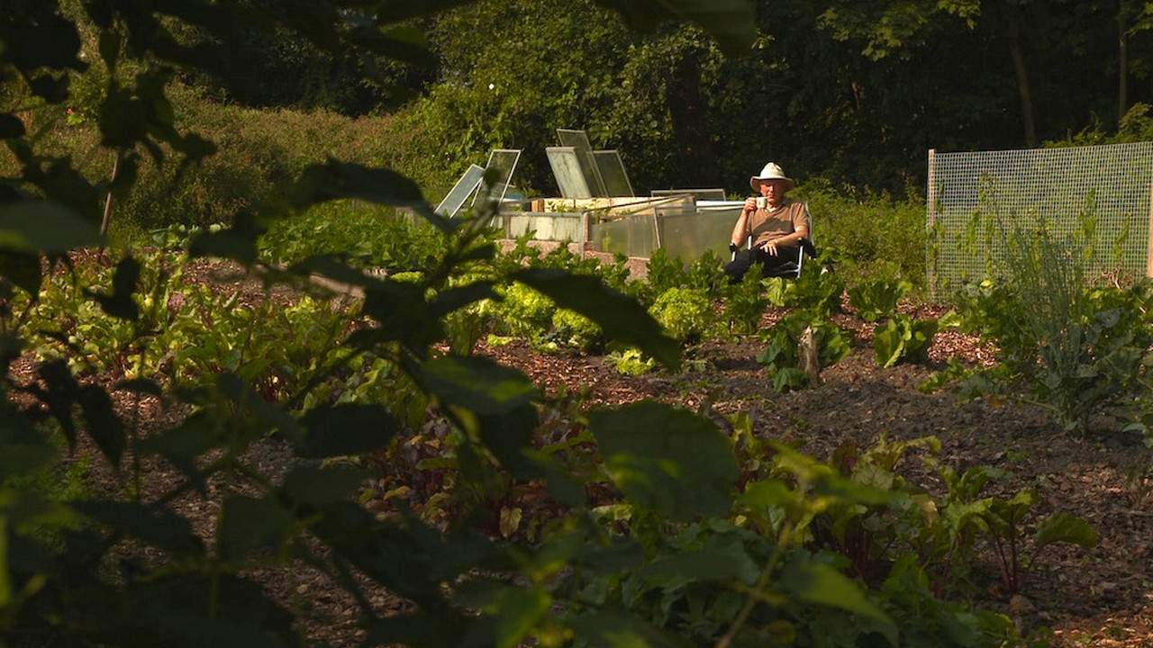 Maarten's moestuin