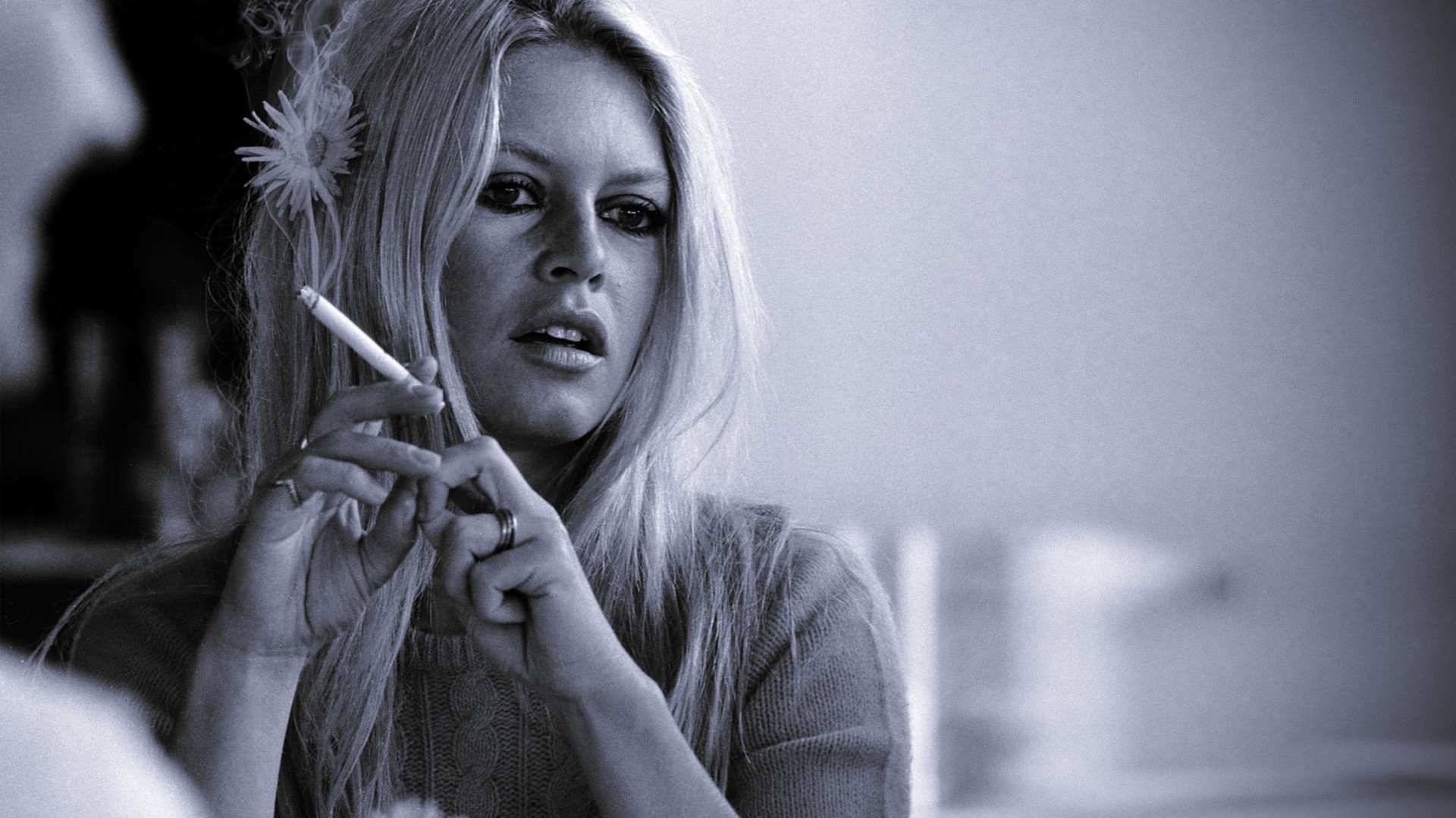 Show Bardot