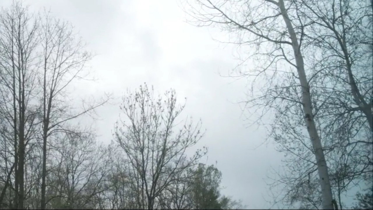 La Traversée