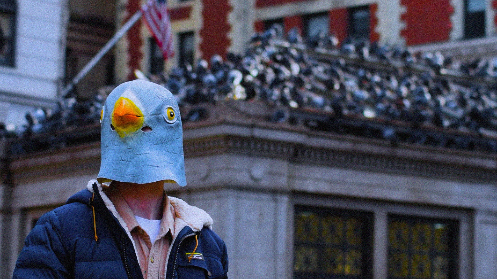 The Pigeon Man